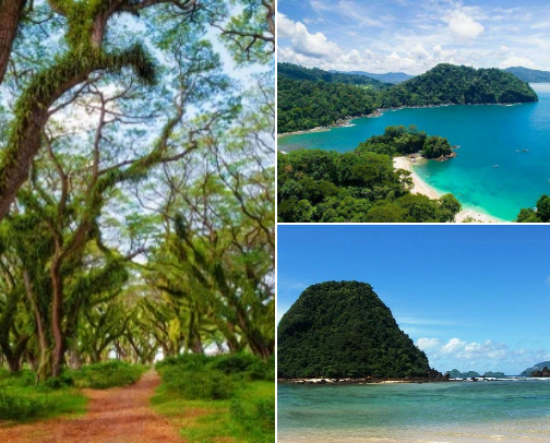 Banyuwangi: travel, hotels, cafes and restaurants cover photo collage