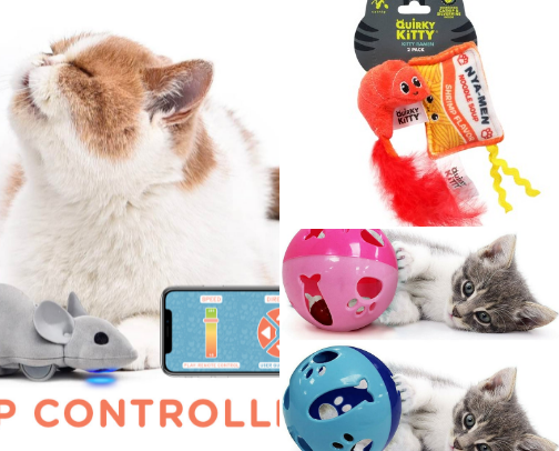 Purrfect For Your Kitty cover photo collage