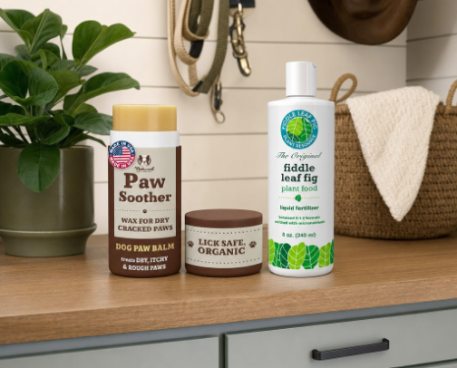 The Upkeep Essentials That Keep Your Whole Life Running cover photo collage