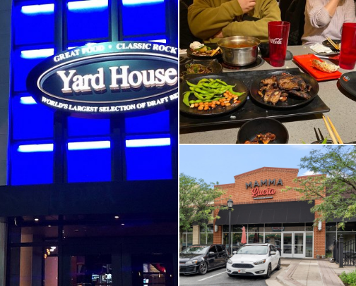 My top Rockville recs cover photo collage