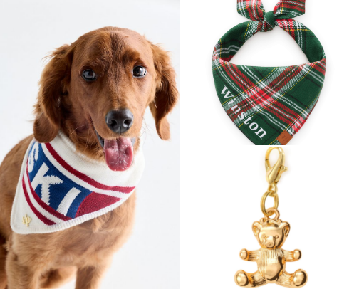 What Your Bougie Pup Should Be Wearing & Using This Winter 🐾 cover photo collage