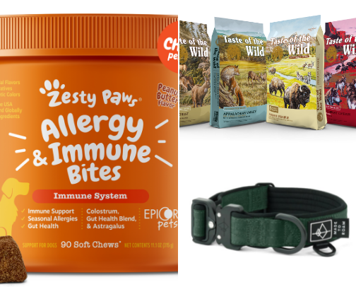 🐶 Chess ♟️ approved! cover photo collage