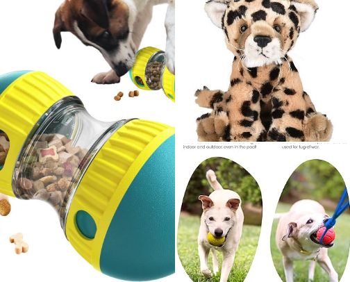 THE HOUSE OF PETS AND SUPPLIES cover photo collage