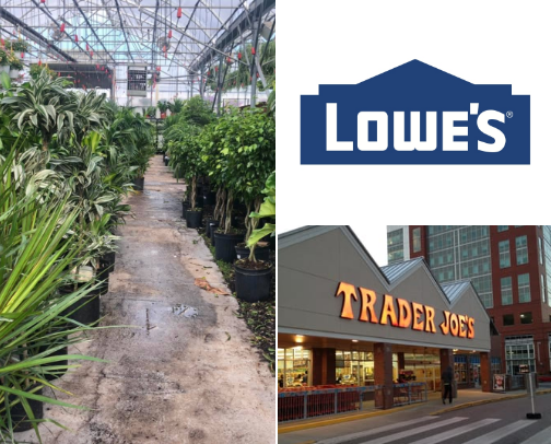 Plant life! Where I buy plants, and some useful plant tools. cover photo collage