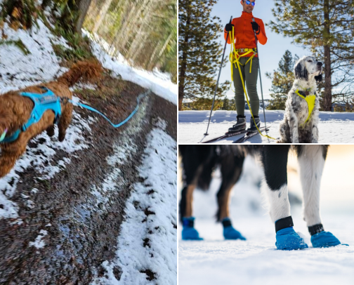 Dog Hiking, Sport, & Adventure Gear cover photo collage