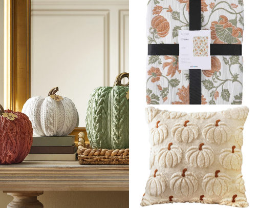 Fall Favorites for a Cozy & Fun Family Season 🍂 cover photo collage