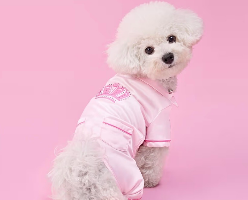 Shop My Dog’s Closet cover photo collage