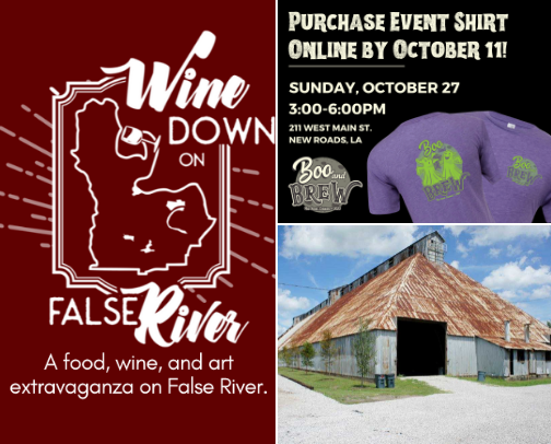 Favorite events in South Louisiana cover photo collage