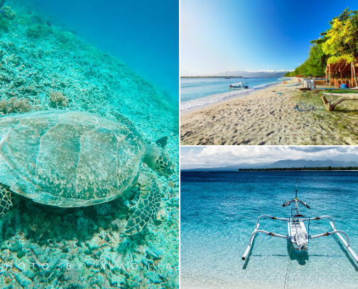 Trip to Lombok cover photo collage