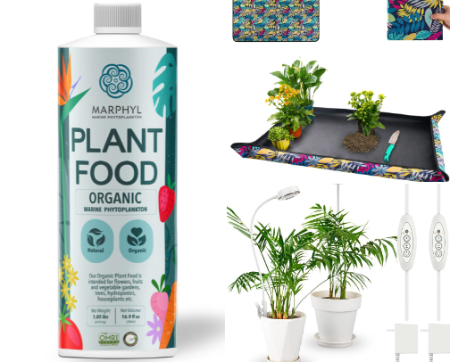 Black Friday Deals cover photo collage