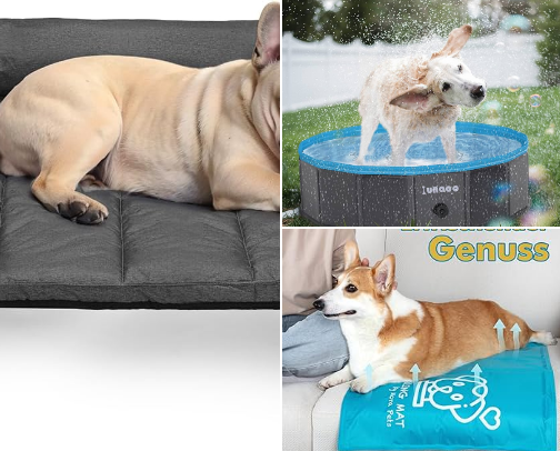 Cool & Glücklich: Sommer-Essentials für deinen Hund cover photo collage