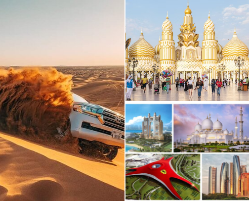 Catz on the go cover photo collage