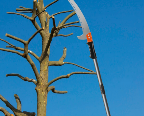 1 heavy-duty professional pole saw with extension rod - extendable to 4.27 meter/3.05 meter, lightweight alloy steel structure suitable for tree pruning, gardening, forestry use, telescope design, stainless steel blades, durable construction cover photo collage