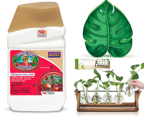 Garden Life cover photo collage