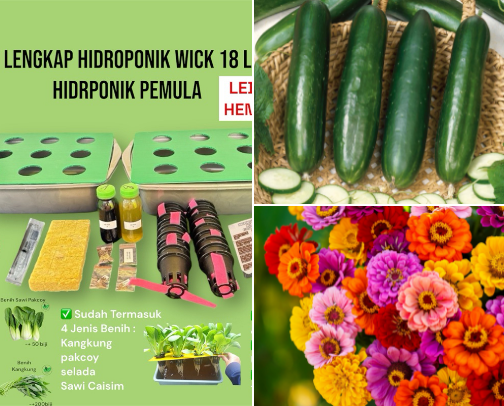 Gardening is fun cover photo collage