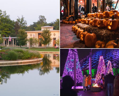 5.	STL Bucket List – Perfect for must-see spots and seasonal experiences. cover photo collage