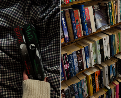 romance book recs for your next shopping trip!! cover photo collage