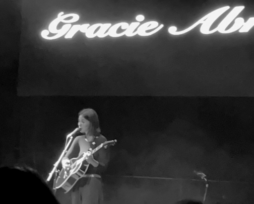 My honest raw unfiltered thoughts on the 100+ music sets that I've seen live and whether I would see them again cover photo collage