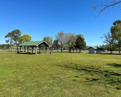 My top recs cover photo collage