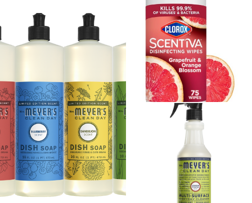 Shine & Sanitize cover photo collage