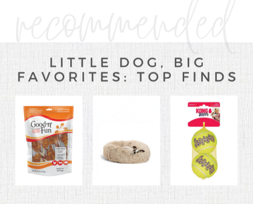 Little Dog, Big Favorites: Best Products for Small Dogs cover photo collage