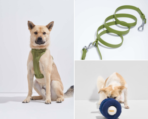 Dog mom must haves! cover photo collage