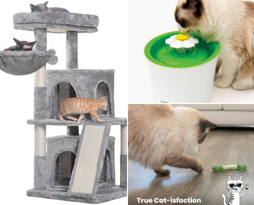 Top 10+ Meow Must-Haves: Purrfect Picks cover photo collage