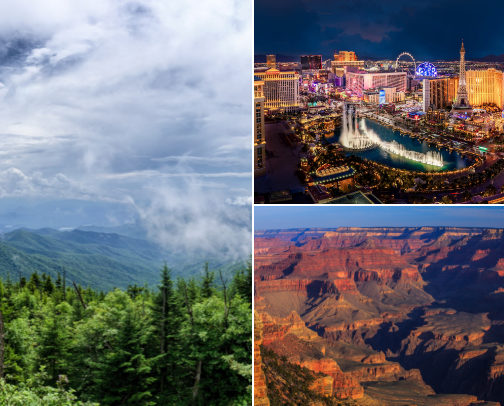 My top local recs cover photo collage