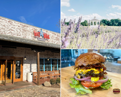 fave spots in northern va🫶🏽 cover photo collage