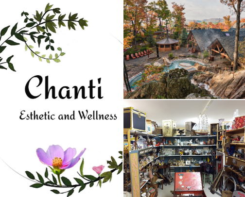 Canadian Recs cover photo collage