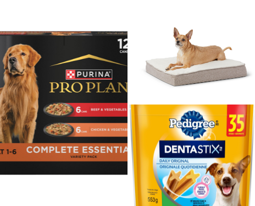 Pet Essentials We Love cover photo collage