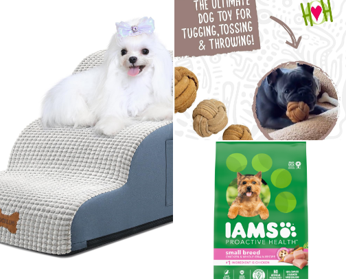 Best Products for Small Dogs cover photo collage