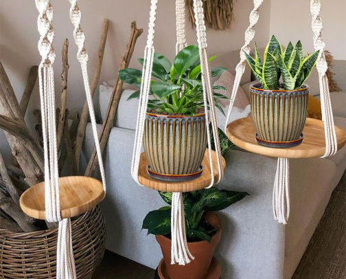 Home & Indoor Garden Aesthetic cover photo collage