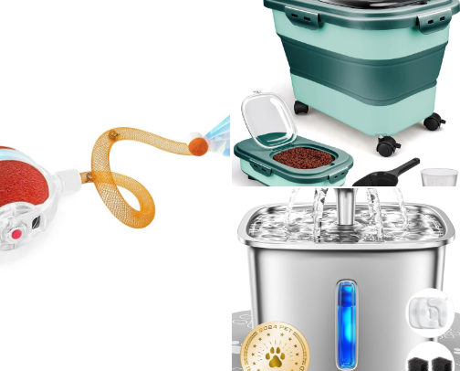 Must have products for your kittens cover photo collage