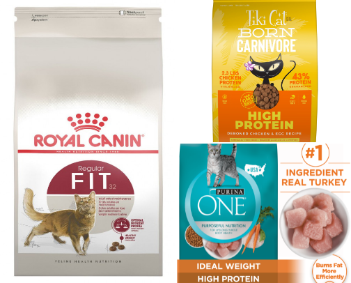 Everything Your Cat Needs: A Furmom’s Guide cover photo collage