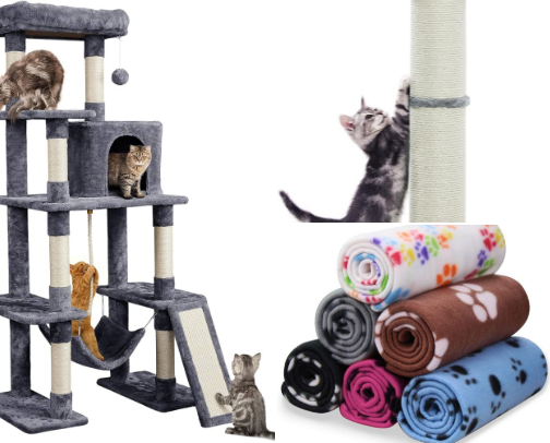Cat Sanctuary Owner Approved: Supplies We Recommend cover photo collage
