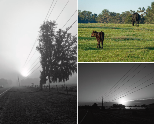 Rural and Backroads cover photo collage
