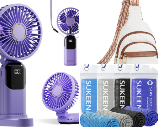 Disney Park Essentials cover photo collage