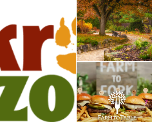 Things to do in NE Ohio cover photo collage