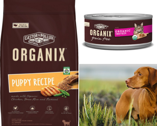 Organic pet food 🐾💗 cover photo collage