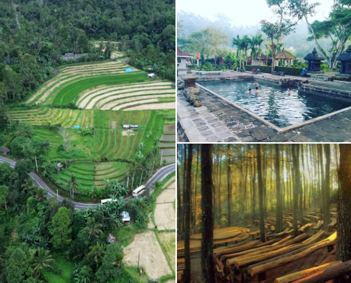Healing & Wellness in Yogyakarta – Soulful Experiences for Mindful Travelers cover photo collage
