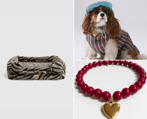 Cool girl DOG finds cover photo collage