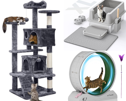 Cat Supplies cover photo collage