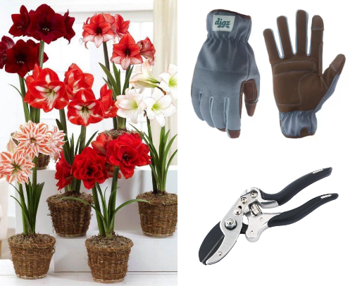 Balcony & Garden Makeover cover photo collage