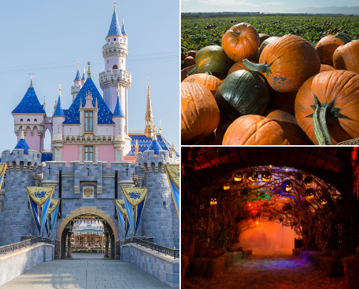 Los Angeles Fall 2025 Wishlist cover photo collage