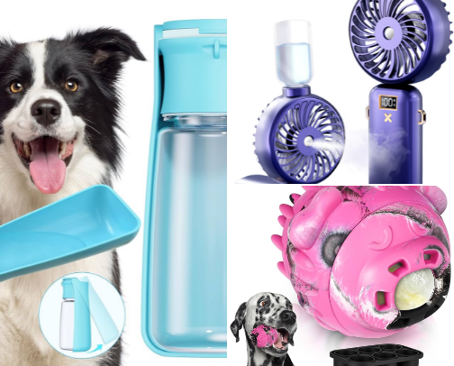 Summer Essentials for Your Dog cover photo collage