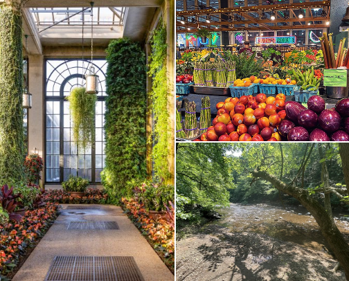 Favorite places 🪾🏕️ cover photo collage