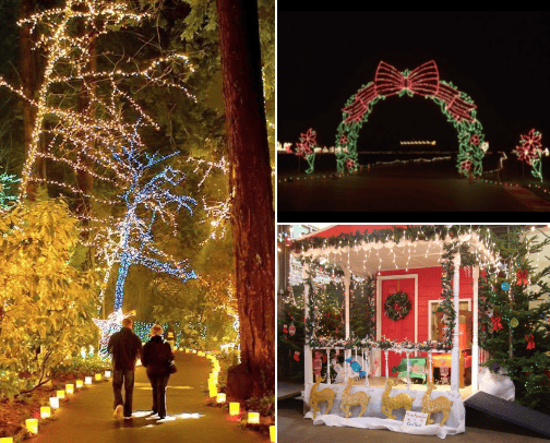 Christmas Wonderland cover photo collage