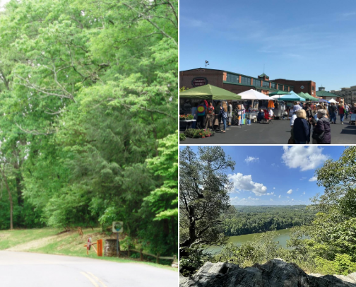 Local activities near me. cover photo collage