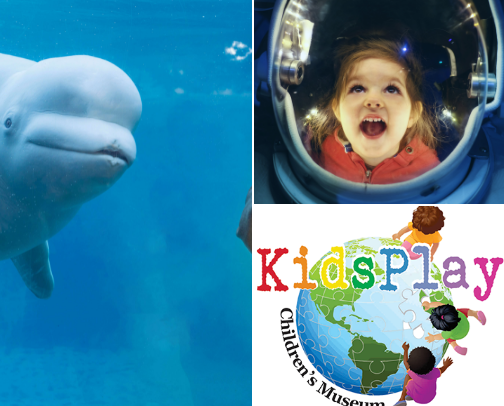 CT with a Toddler cover photo collage